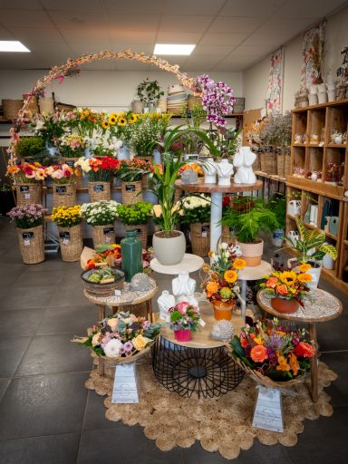 Boutique, mise en avant par l'image